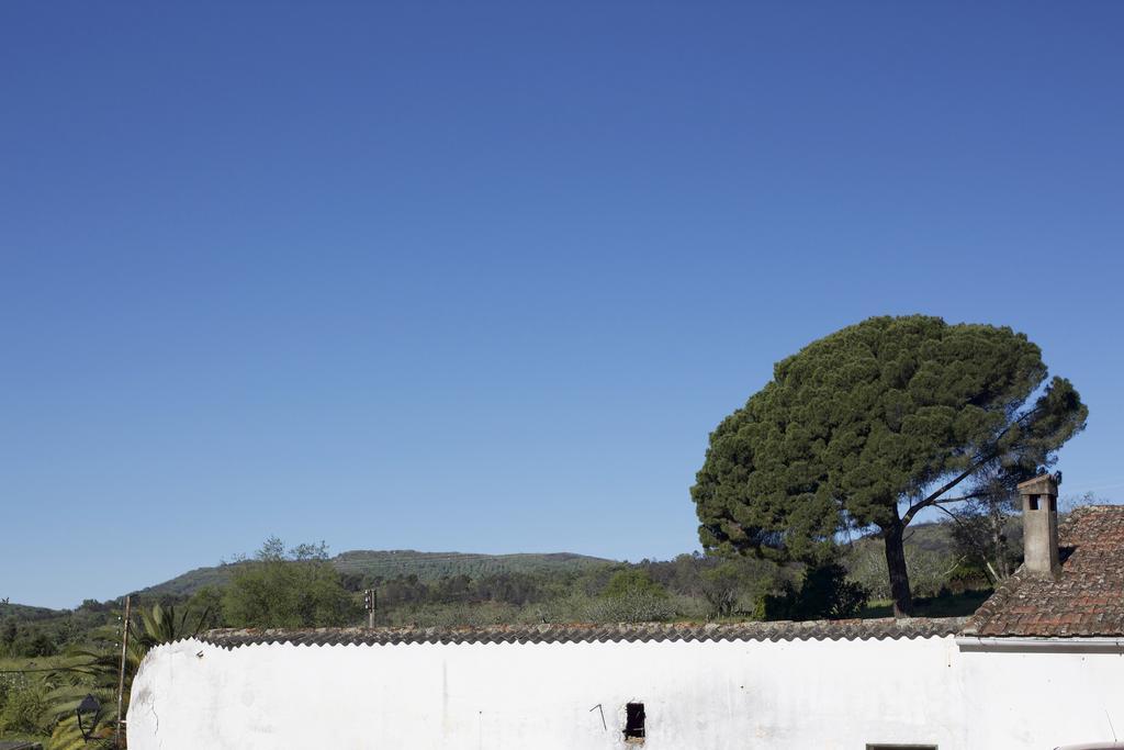 בית הארחה Perales del Puerto 	La Grulla Dorada מראה חיצוני תמונה