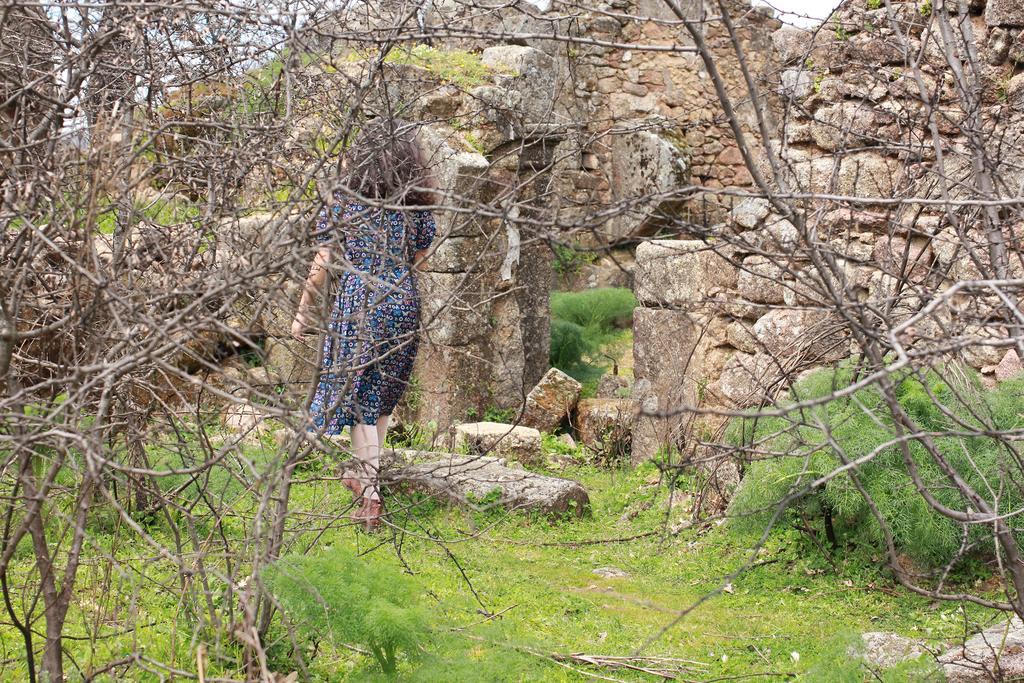 בית הארחה Perales del Puerto 	La Grulla Dorada מראה חיצוני תמונה